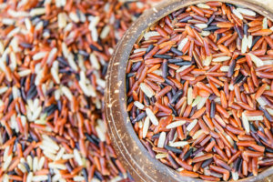 Hydrolyzed Rice Protein