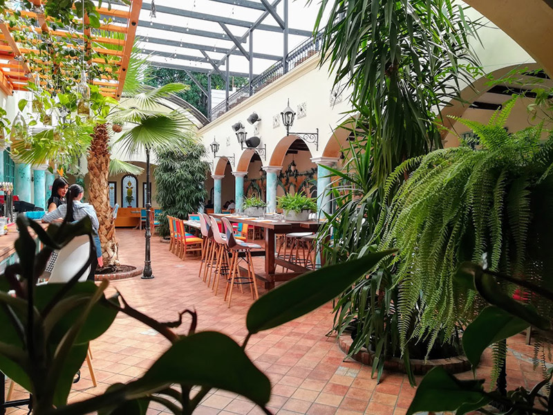 Restaurant Galletto, gradina urbana unde te poți bucura de gustul cocoșelului de munte, din Valle Spluga